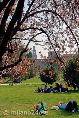 Relax in Parco Sempione